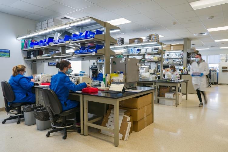 A photo of board-certified pathologists and staff at the NH Veterinary Diagnostic Lab, which recently received $1.26 million in federally earmarked funds. 